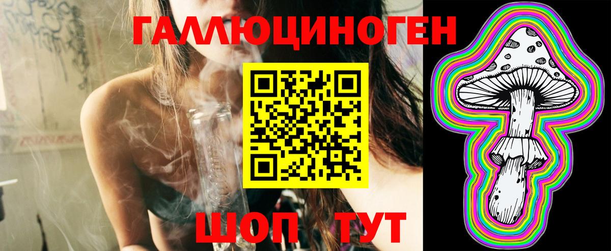 Галлюциногенные грибы мицелий  Вход с VPN  Галлюциногенные грибы Psilocybe  Киселёвск 