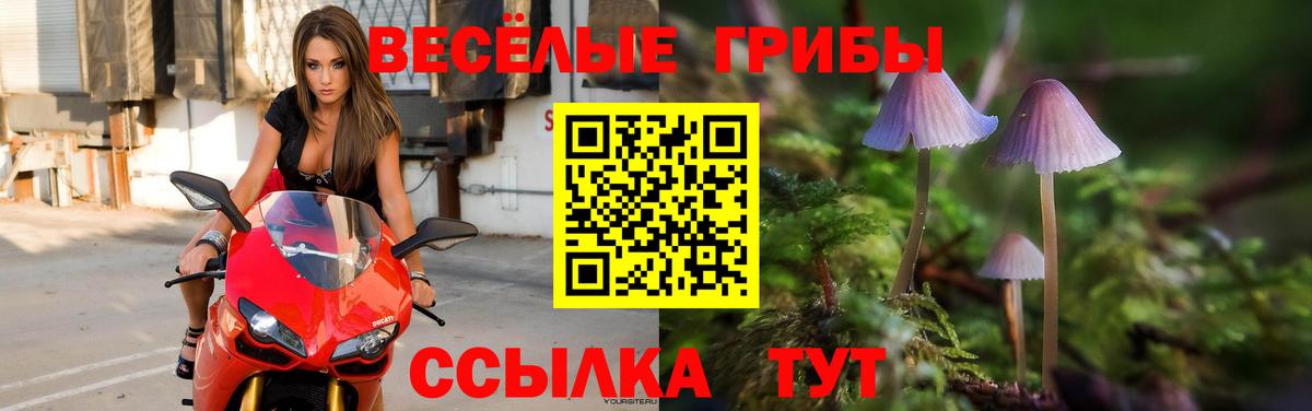 Галлюциногенные грибы MAGIC MUSHROOMS Киселёвск